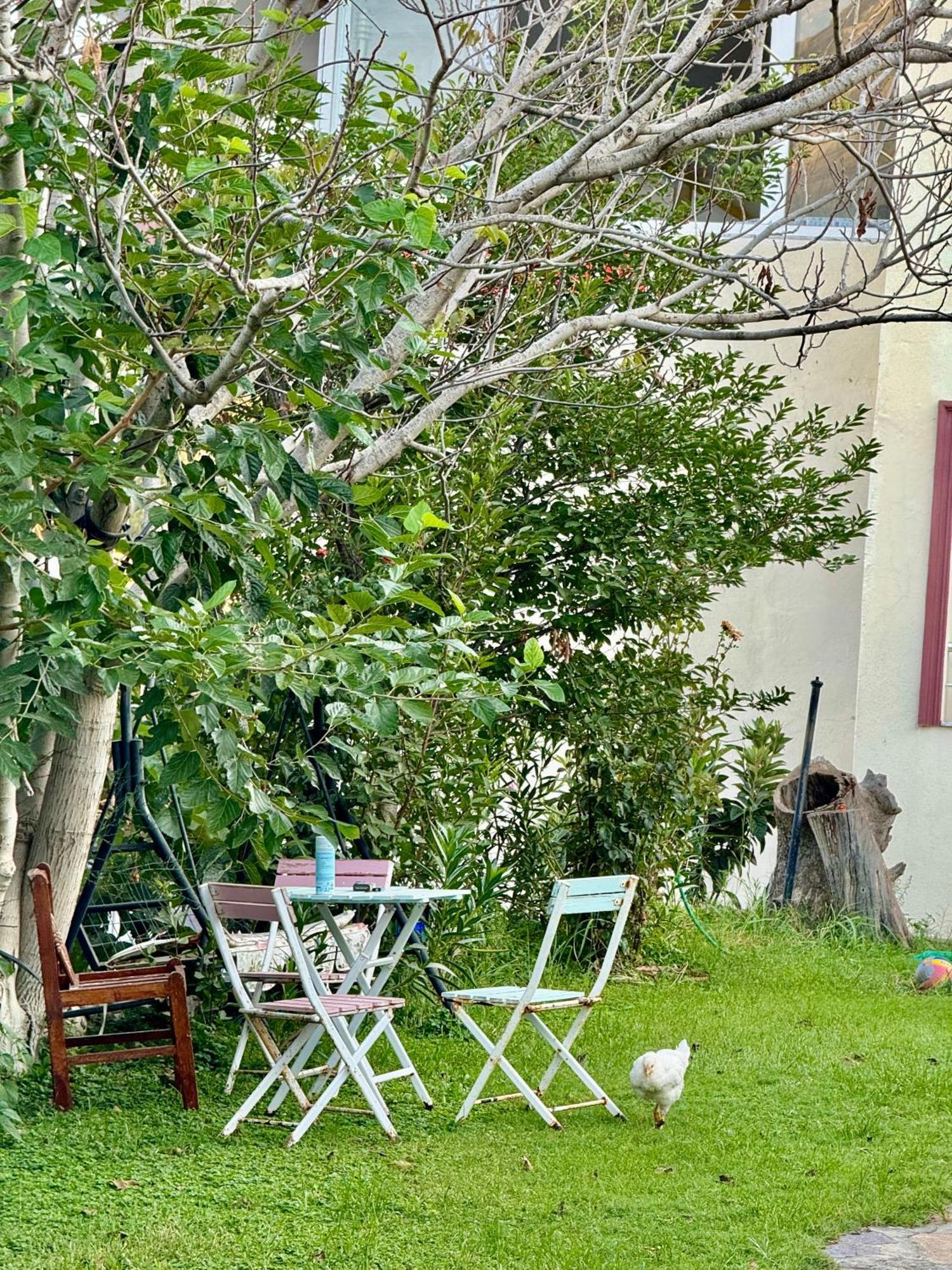 Rose Hotel B&B باتارا المظهر الخارجي الصورة