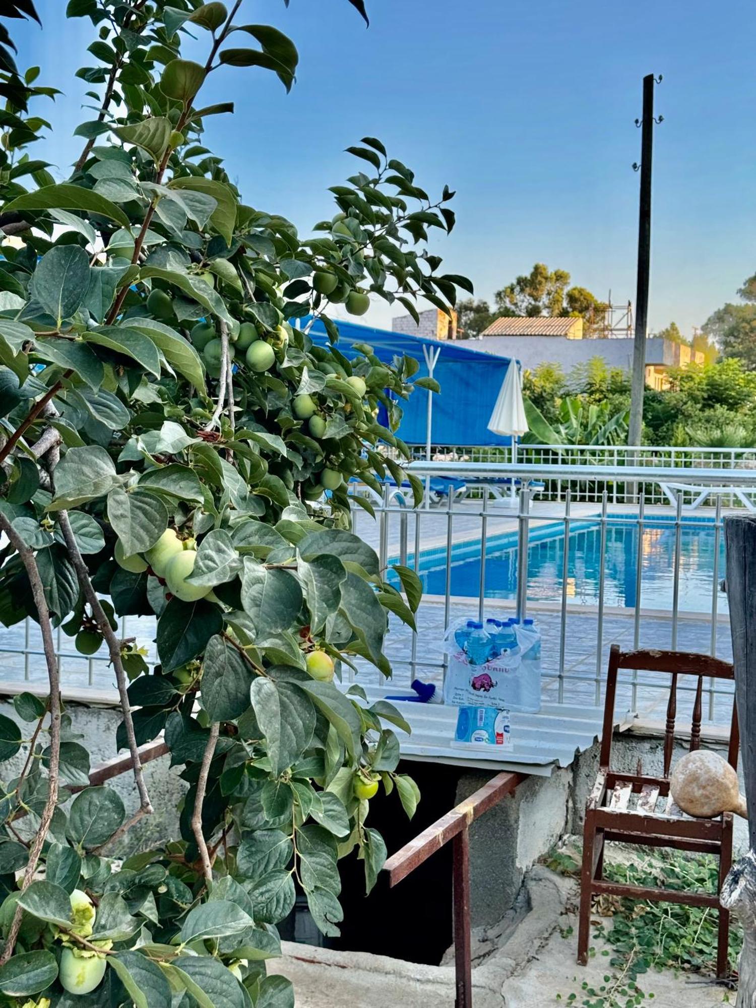 Rose Hotel B&B باتارا المظهر الخارجي الصورة