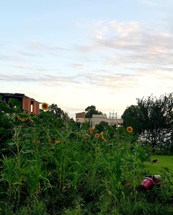 Rose Hotel B&B باتارا المظهر الخارجي الصورة
