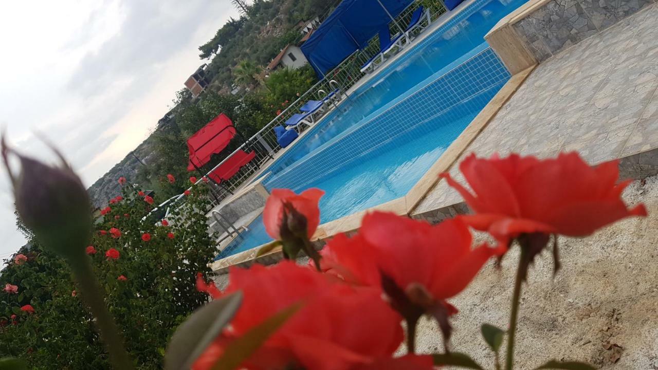 Rose Hotel B&B باتارا المظهر الخارجي الصورة